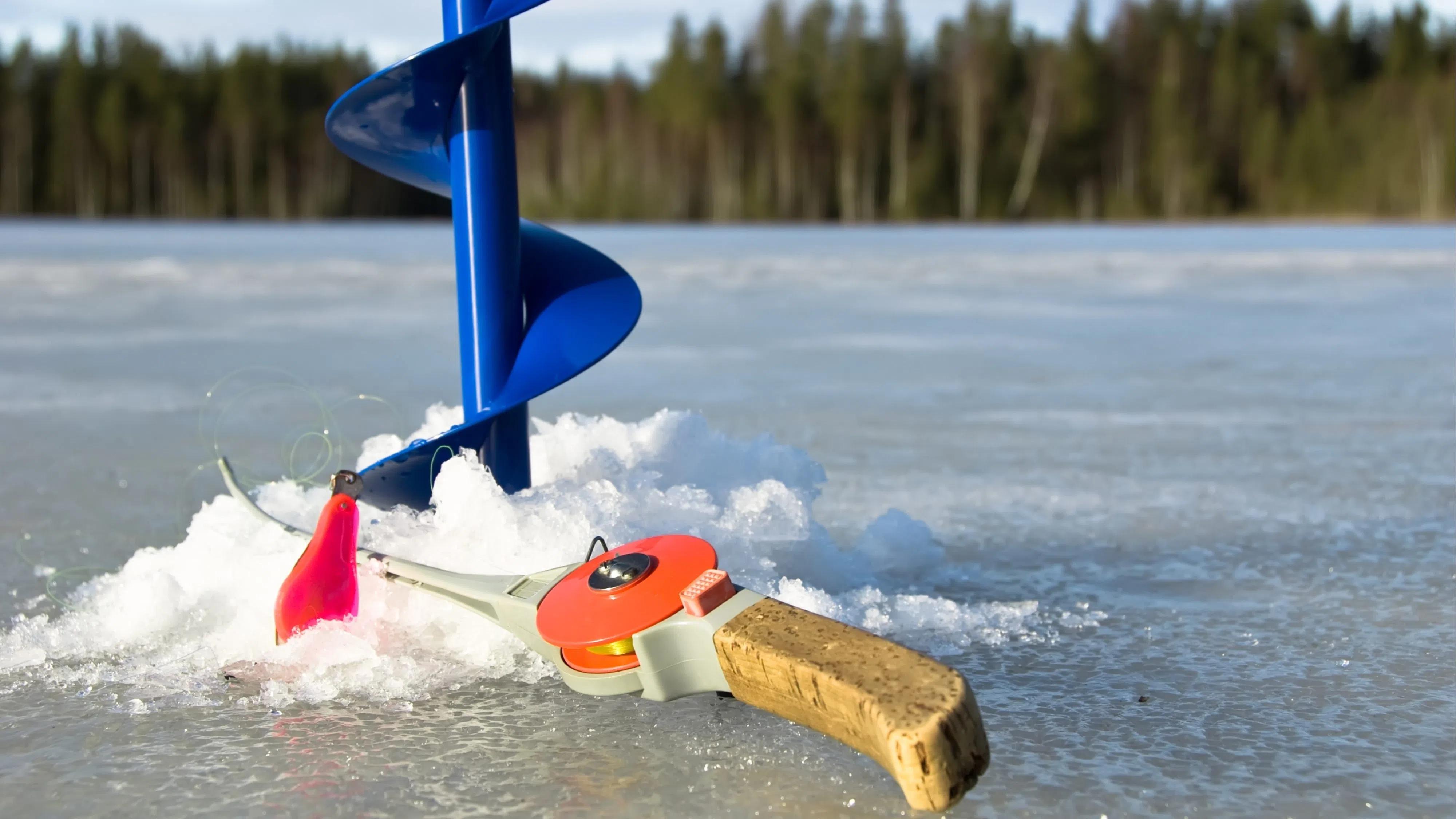 Mañana o tarde: ¿cuándo es mejor la picadura?